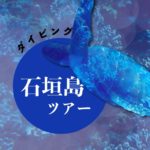 ダイビング石垣島ツアー
